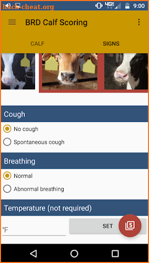 BRD Calf Scoring screenshot