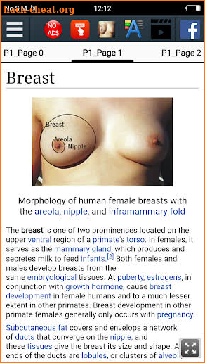 Breast Anatomy screenshot