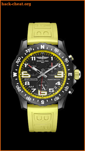 Breitling ENDURANCE WATCH FACE screenshot