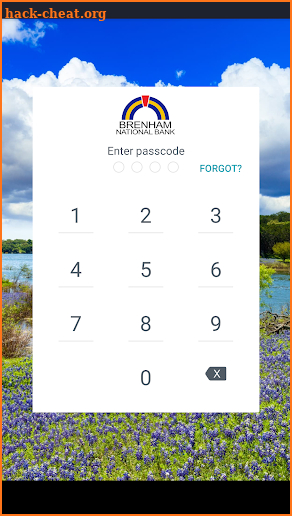 Brenham National Bank screenshot