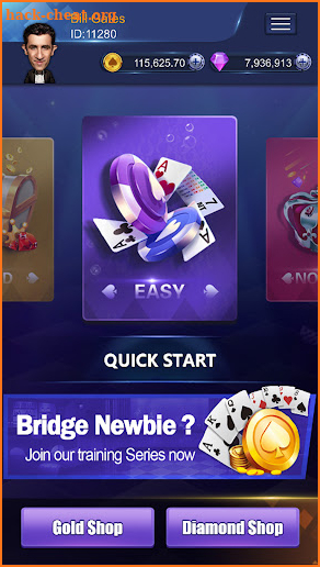 Bridge Poker screenshot