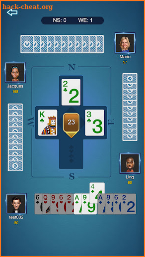 Bridge Poker screenshot