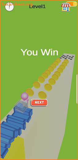 Bridge Race screenshot