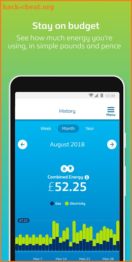 British Gas screenshot