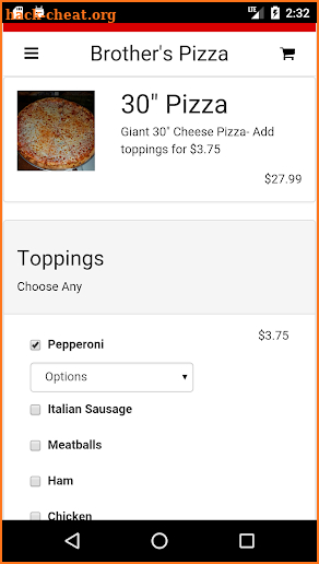 Brother's Pizza screenshot