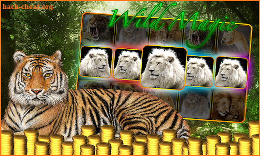 Buffalo Wild Casino Jackpot - Mega Win 777 Slots screenshot