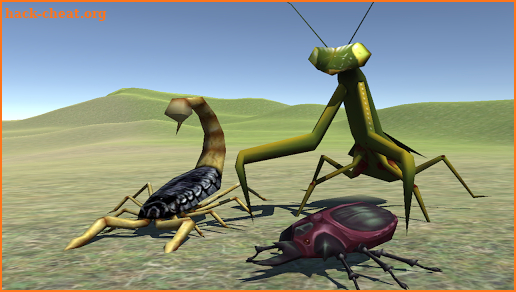 Bug Battle screenshot