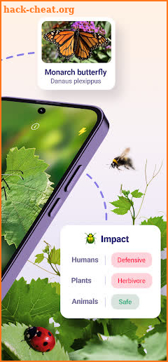 Bug ID - Insect Identifier screenshot