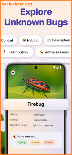 Bug ID - Insect Identifier screenshot