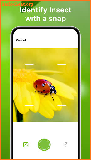 Bug Identifier Bug Finder screenshot