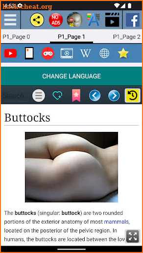 Buttocks Anatomy screenshot