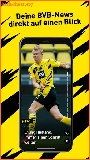 BVB 09 screenshot