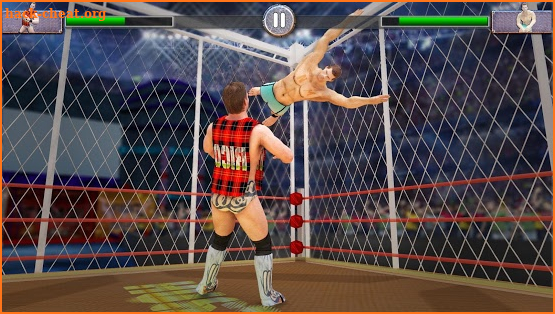 Cage Wrestling Superstars: Fight Revolution Mania screenshot