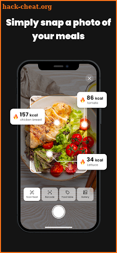 CalDiet-AI Food Scanner screenshot