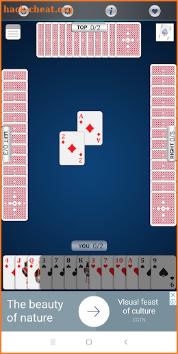 CALL-BRIDGE Cards game screenshot