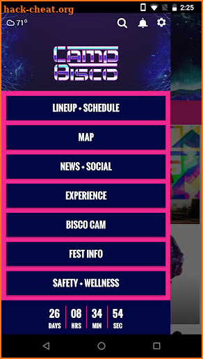 Camp Bisco screenshot