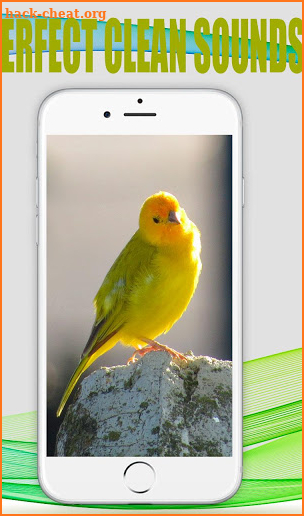 Canto de Canarios sonidos y tonos gratis screenshot