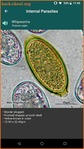 CAPC Internal Parasites ID screenshot