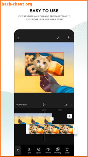 Capture & Cut Video Editor screenshot