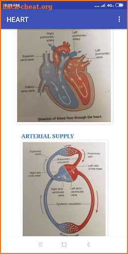 cardiovascular system screenshot