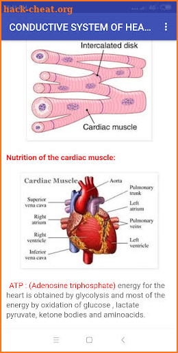 cardiovascular system screenshot