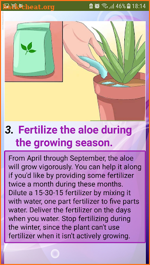 Care for Your Aloe Vera Plant screenshot