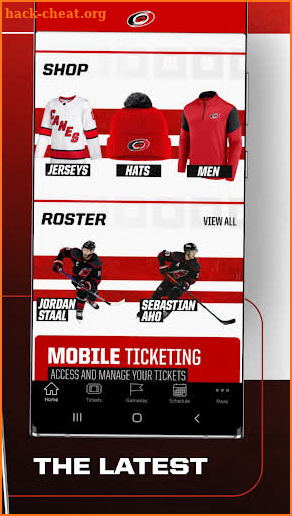 Carolina Hurricanes screenshot