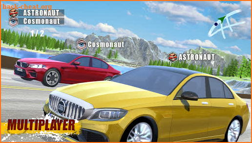 CarSim M5&C63 screenshot