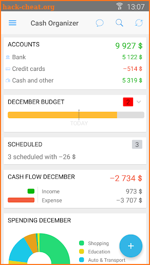 Cash Organizer - finance screenshot