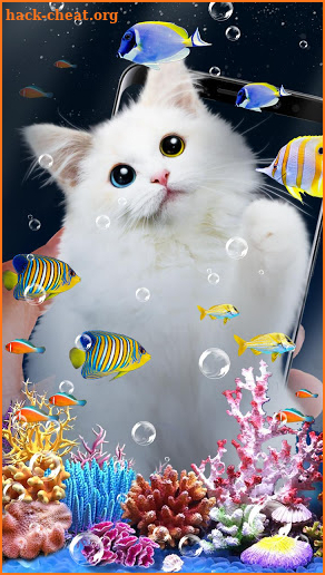 Cat & Aquarium Fish Live Wallpaper screenshot