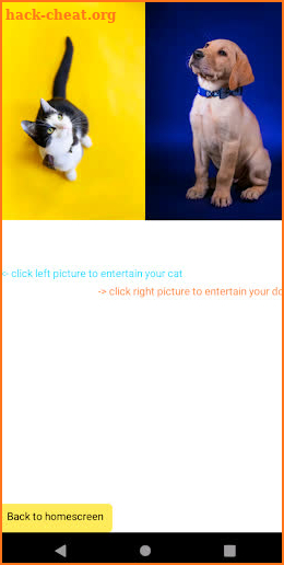 Cat and Dog translator screenshot