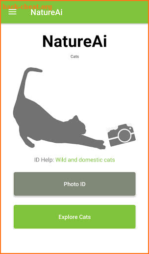 Cat Breed Identification - Cat Scanner screenshot