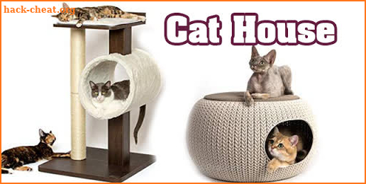 Cat Condo Ideas screenshot