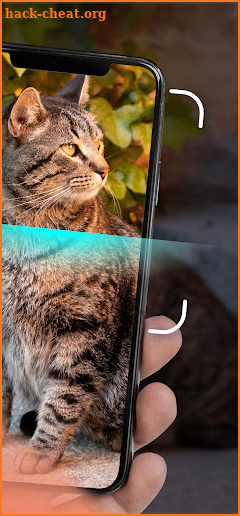 Cat Identifier - Cat Scanner screenshot