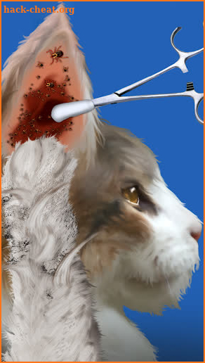 Cat Makeover screenshot