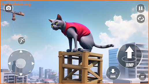 Cat Parkour Game: Cat Game screenshot