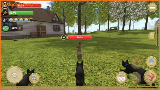 Cat Simulator 2020 screenshot