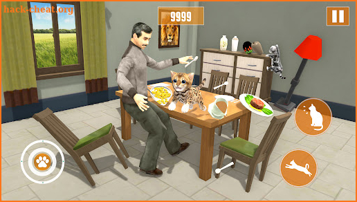 Cat Simulator Game: Tomy Game screenshot