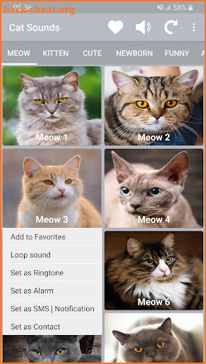 Cat Sounds - Meow Noises screenshot