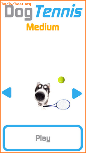 Cat Tennis screenshot