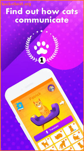 Cat Translator Game - Communicate with Animals screenshot