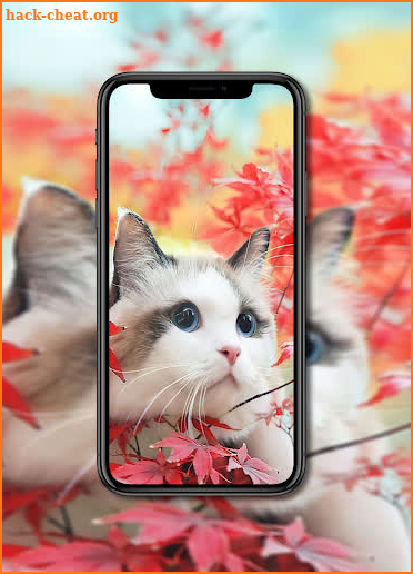 Cat Wallpapers screenshot