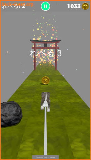 CatRunner screenshot