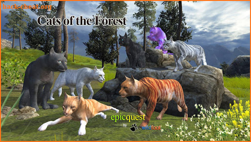 Cats of the Forest screenshot