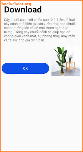 Cây chuối cảnh screenshot