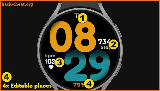 CC Clean 21 Watch Face screenshot