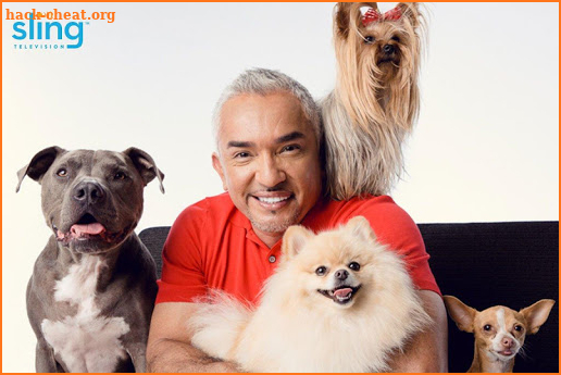 Cesar Millan - Cesar's Way screenshot