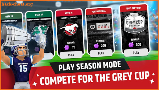 CFL Football Frenzy screenshot