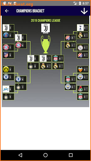 Champions Bracket screenshot