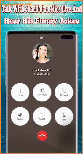 Charli Damelio Fake Video Call - Real Voice screenshot